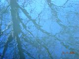 Reflection.jpg image by Shikarai