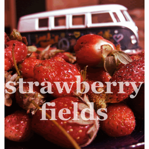 strawberry.gif image by ctrpllr