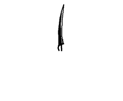 Slash.gif image by fyrren